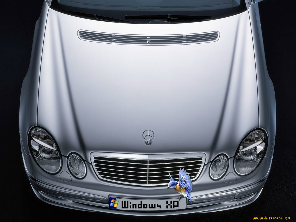 xp, , windows